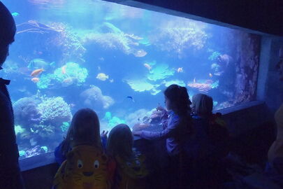 Kita-Ausflug in den Tierpark Dählhölzli