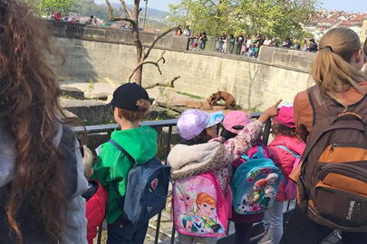 Chinderstube Olten im Bärenpark Bern
